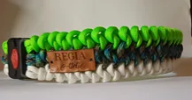 Coleira Mamba Verde